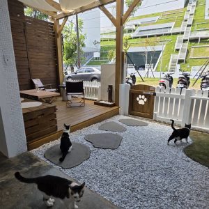 莫平方20260925 (1)